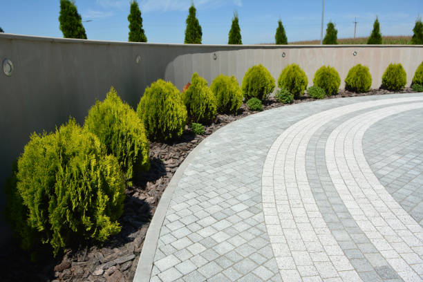 Professional Driveway Pavers in Albany, MO